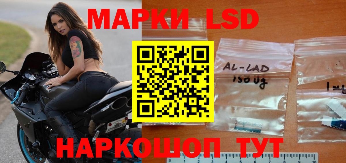 Канабис Губкинский